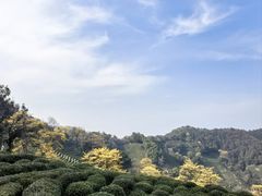-十里琅珰