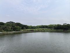 -东莞植物园