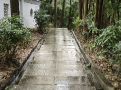 -火炉山森林公园
