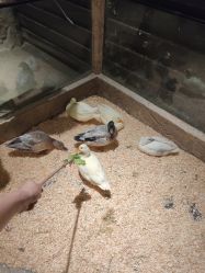 -造物庄园 萌宠纪(苏州湾歌林公园店)