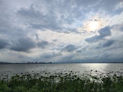 -阳澄湖费尔蒙酒店