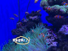 -多彩贵州城极地海洋世界