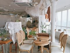 -共舞时光猫咖·狗咖(新街口店)