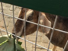 -武汉紫薇都市田园