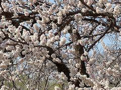 -吉林大学(南岭校区)