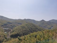 -宁波浙东大竹海景区