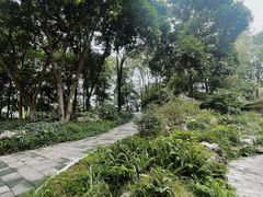 -成都市活水公园