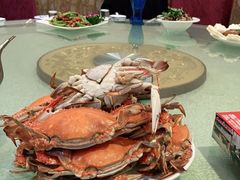 -正阳春鸭子楼(汉沽店)