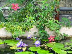 -国家植物园南园