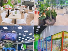 -813芭依珊 BAESAn(皇冠十畝地店)