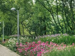 -西湖风景区-江洋畈生态公园