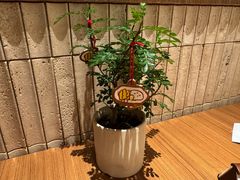 -CURRY YA 熟成咖哩專門店(深圳湾万象城店)