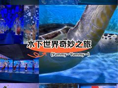 -欢乐海岸海洋奇梦馆