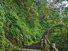 -峨眉山风景名胜区