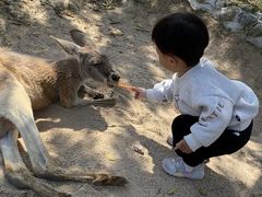 -泉州海丝野生动物世界