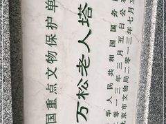 -万松老人塔