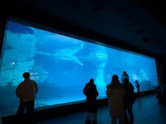 -海合安武汉极地海洋公园