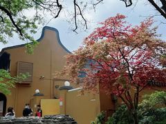 -龙华素斋(龙华路店)