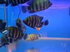 -海口骑楼小吃街