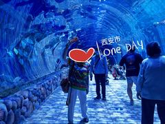 -华夏文旅海洋公园