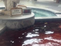 -碧水湾温泉