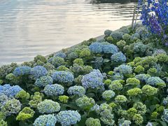 -荔湾湖公园