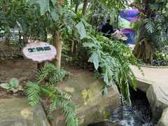 -南山植物园
