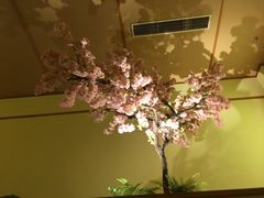 -汤泉良子(金源店)