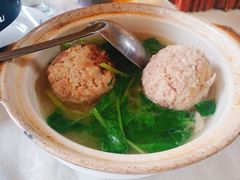 -丁老爷子苏香圆