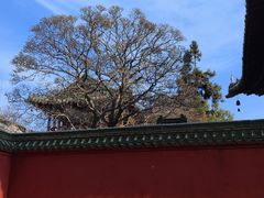 -报恩寺(平武县)