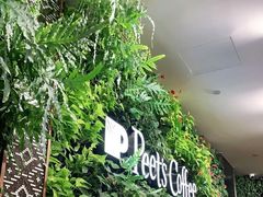 -Peet's Coffee皮爷咖啡(德基店)