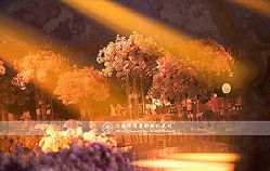 点击看大图 -上海复旦皇冠假日酒店·宴会厅
