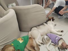 -怪兽屋·羊驼·猫咖·狗咖(俊华广场店)