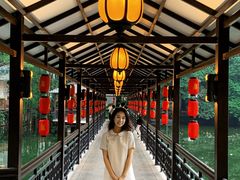 -侨美·唐荔园·40年地道粤菜