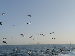-青岛奥林匹克帆船中心