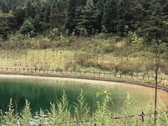 -武陵山森林公园