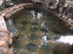 -深业半汤御泉庄温泉