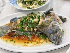 -金海湾海鲜排档(朱家尖店)