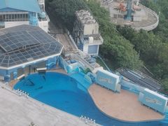 -香港海洋公园