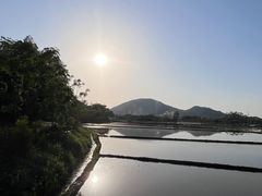 -艾米稻香小镇