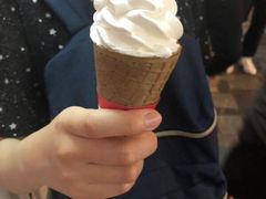 -富豪雪糕车流动点(尖沙咀店)