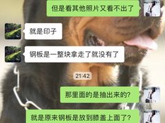 -顺强宠物诊所·狂犬免疫·夜诊·骨科(嘉定店)