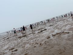 -刘家湾赶海园