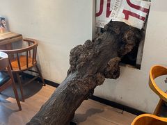 -树厨贵州菜(大十字店)