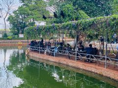 -侯臣咖啡文化村