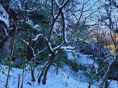 -山王坪喀斯特国家生态公园