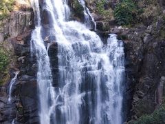 -海南热带雨林国家公园吊罗山景区