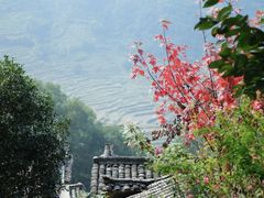 -篁岭景区