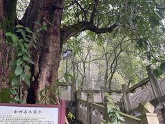 -道教老君洞