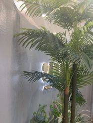 -八佰伴8008星级形象店